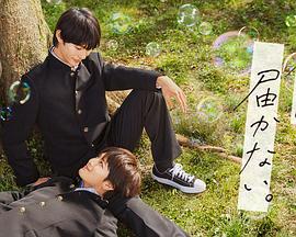 个人seo怎么赚钱的